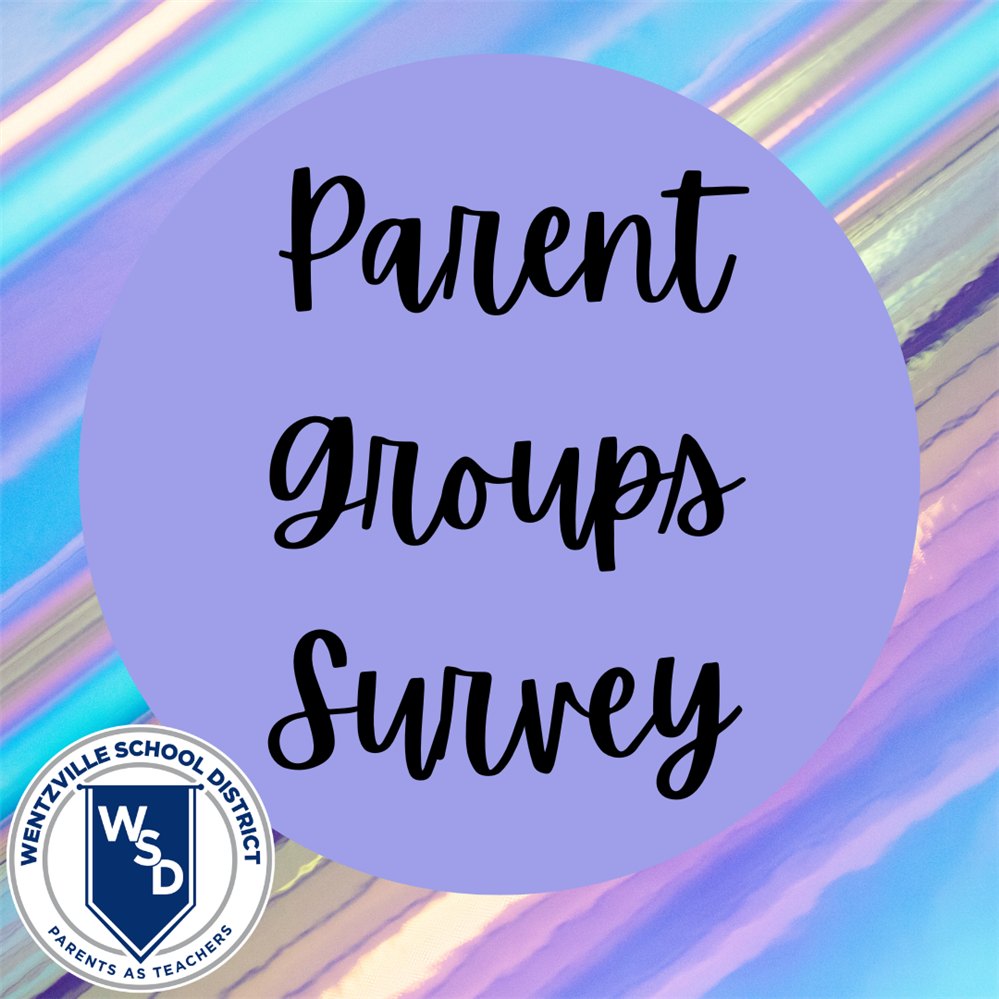 Parent Groups Survey 